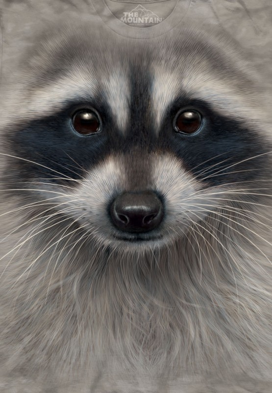 The Mountain T-Shirt - Racoon Face