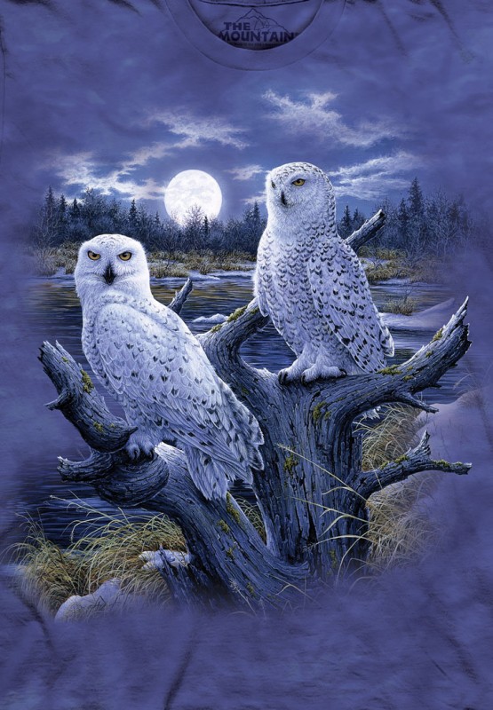 The Mountain T-Shirt - Snowy Owls